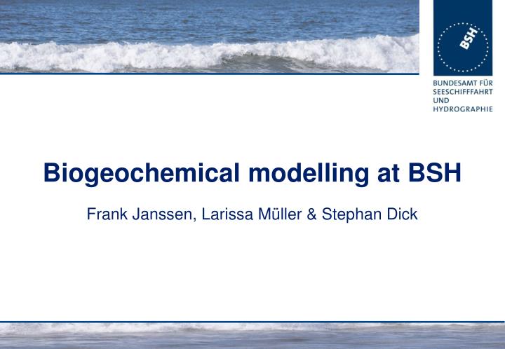 biogeochemical modelling at bsh