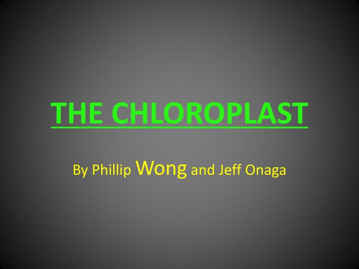 the chloroplast