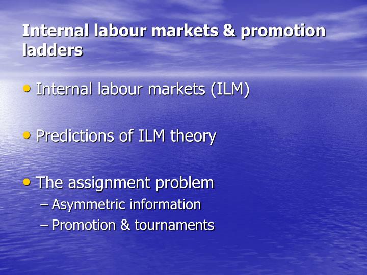 internal labour markets promotion ladders