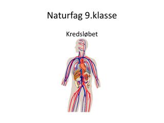 naturfag 9 klasse