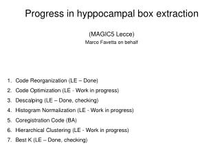 Progress in hyppocampal box extraction