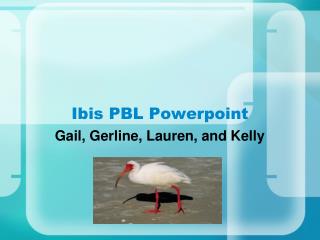 Ibis PBL Powerpoint