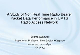 A Study of Non Real Time Radio Bearer Packet Data Performance in UMTS Radio Access Network