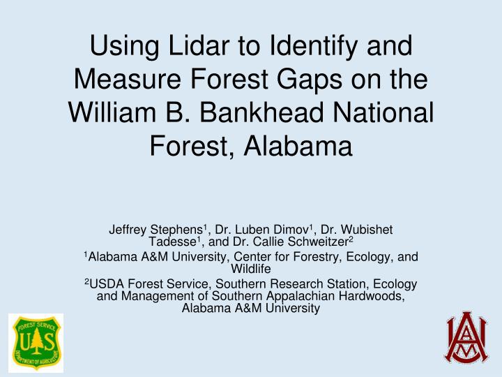 using lidar to identify and measure forest gaps on the william b bankhead national forest alabama