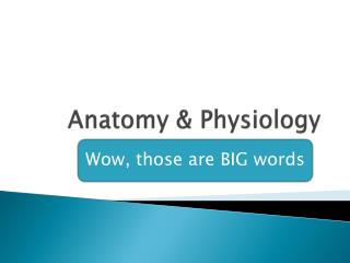 Anatomy &amp; Physiology