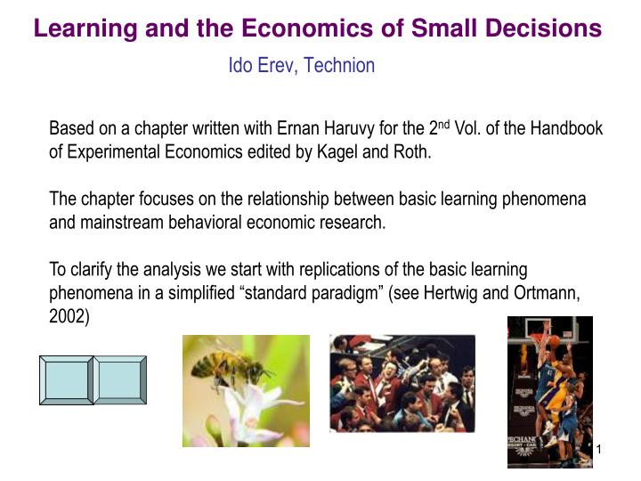learning and the economics of small decisions