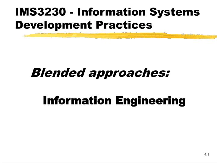 ims3230 information systems development practices