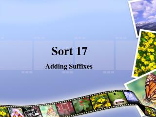 sort 17