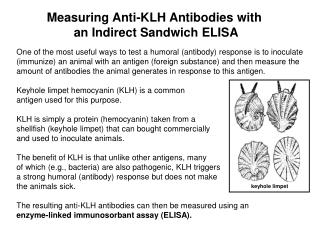 One of the most useful ways to test a humoral (antibody) response is to inoculate