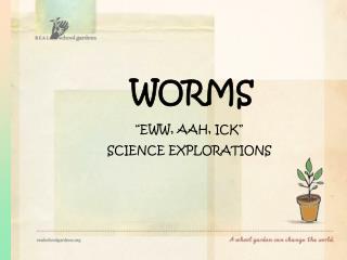 WORMS