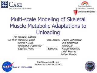 Multi-scale Modeling of Skeletal Muscle Metabolic Adaptations to Unloading