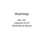 Morphology - slide 1