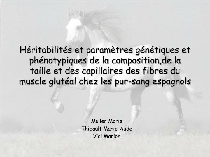 muller marie thibault marie aude vial marion