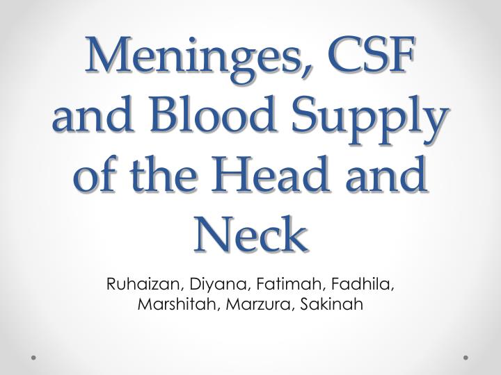 meninges csf and blood supply of the head and neck