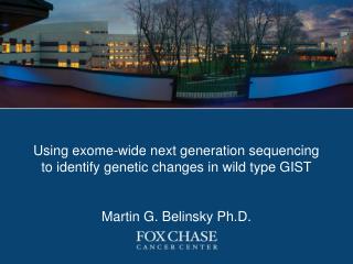 Using exome-wide next generation sequencing to identify genetic changes in wild type GIST