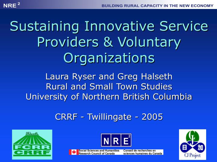 sustaining innovative service providers voluntary organizations