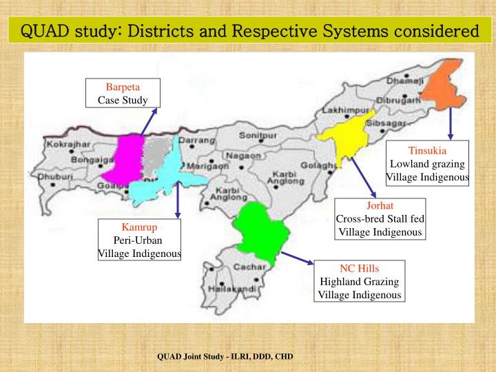 quad study districts and respective systems considered