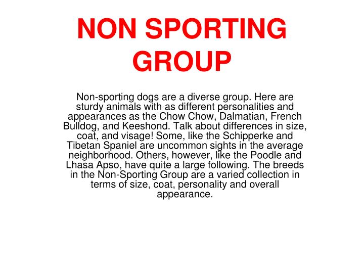 non sporting group