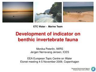 E TC Water - Marine Team Development of indicator on benthic invertebrate fauna