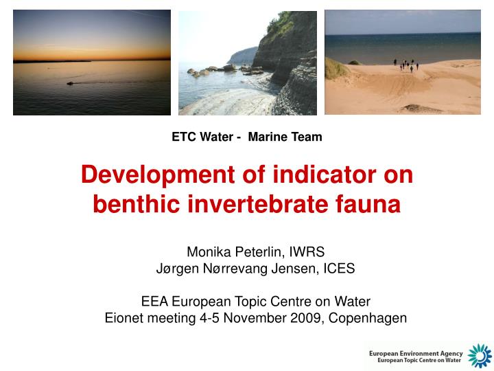 e tc water marine team development of indicator on benthic invertebrate fauna