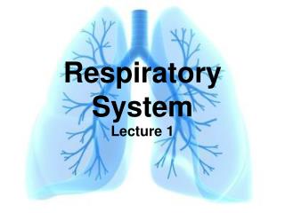 Respiratory System