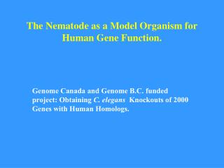 The Nematode as a Model Organism for Human Gene Function.
