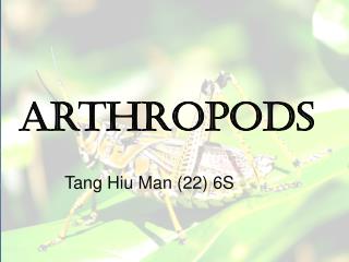 Arthropods