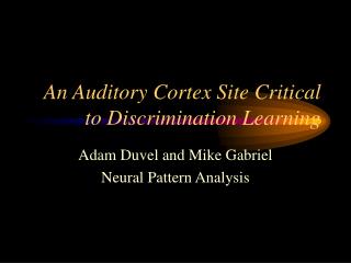 An Auditory Cortex Site Critical to Discrimination Learning