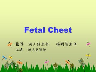 Fetal Chest