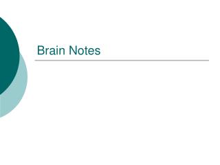 brain notes