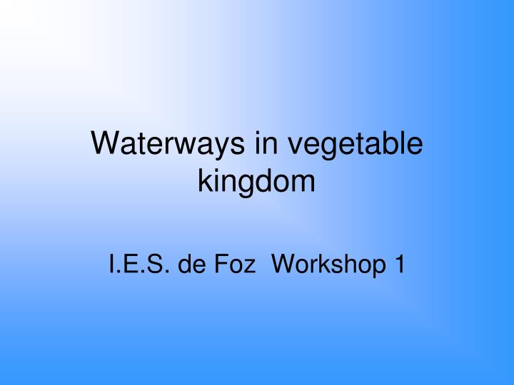 waterways in vegetable kingdom