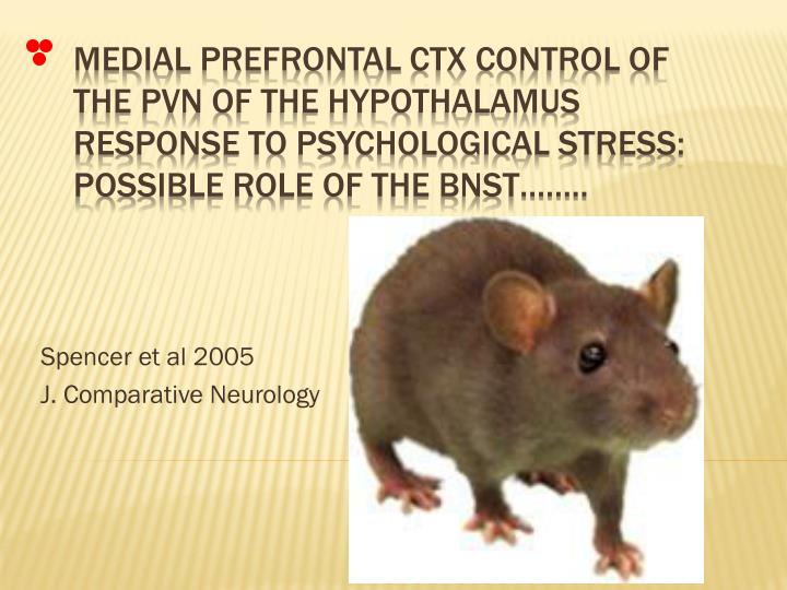 spencer et al 2005 j comparative neurology