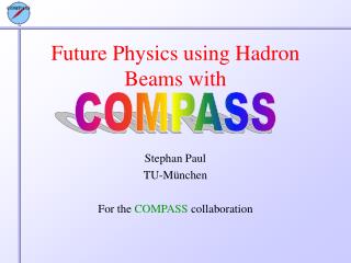 Future Physics using Hadron Beams with