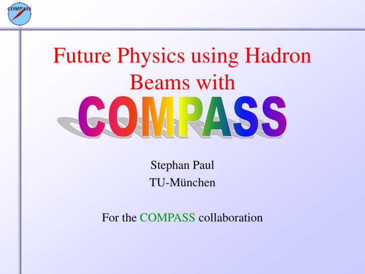 future physics using hadron beams with
