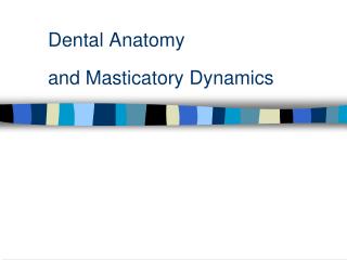 Dental Anatomy and Masticatory Dynamics