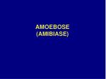 AMOEBOSE (AMIBIASE) - slide 1