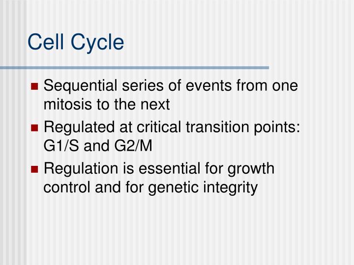 cell cycle