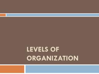 Levels of Organization