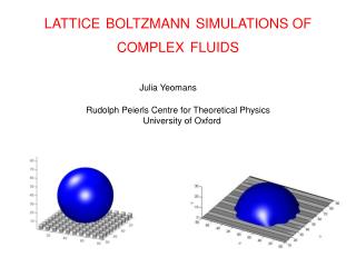 LATTICE BOLTZMANN SIMULATIONS OF COMPLEX FLUIDS