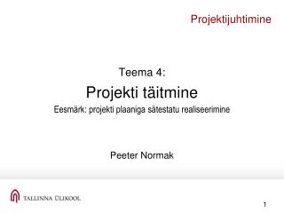projektijuhtimine