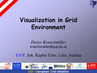 Visualization in Grid Environment