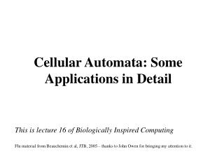 Cellular Automata: Some Applications in Detail