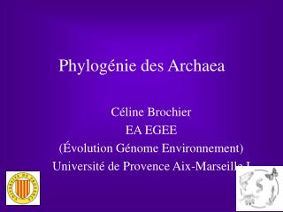 phylog nie des archaea