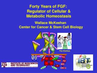 Wallace McKeehan Center for Cancer &amp; Stem Cell Biology
