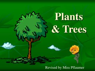 Plants &amp; Trees
