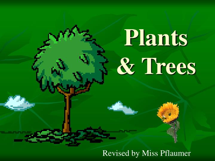 plants trees