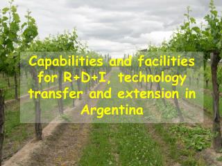 capabilities and facilities for r d i technology transfer and extension in argentina