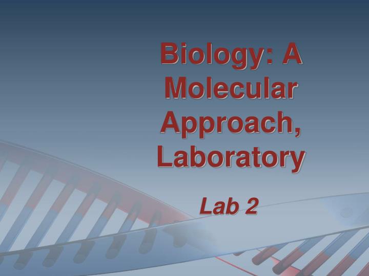 biology a molecular approach laboratory