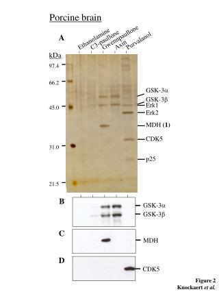 Figure 2 Knockaert et al.