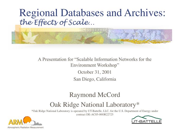 regional databases and archives the effects of scale